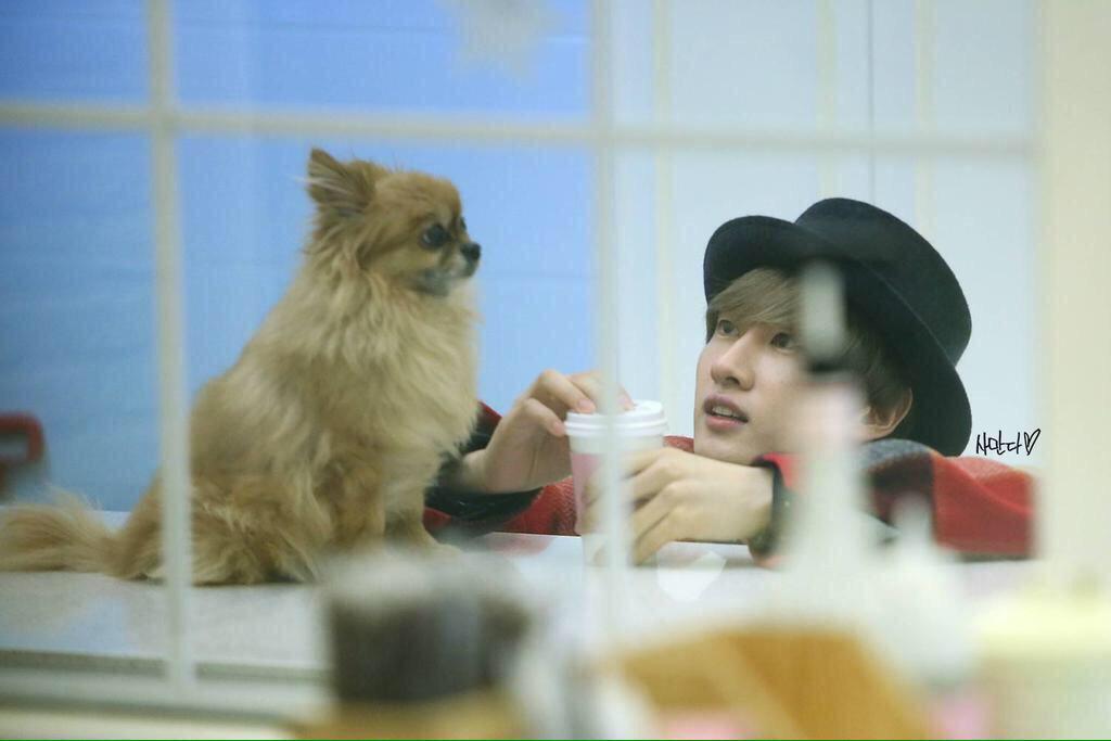 kook7395's tweet photo. チョコ幸せな時間をありがとう（；＿；）
ヒョクちゃんを見守っていてね（；＿；）
涙がとまらない（；＿；）
#PrayForChoco 
#ThankYouChoco http://t.co/OUhjbaUqo9