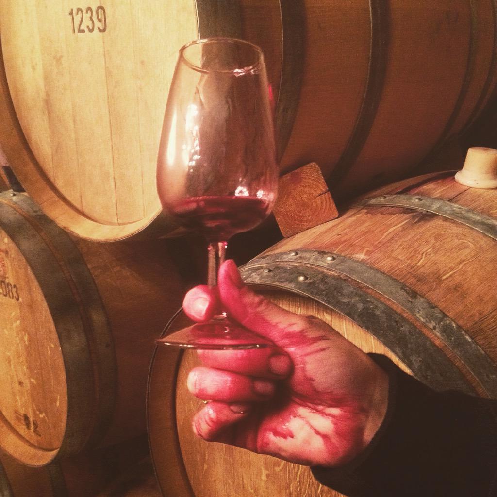 TriusWines's tweet photo. Happy #Monday #niagara! Our #winemaking team is busy sampling the new #vintage2015 of #TriusRed http://t.co/vqI7ak69ge