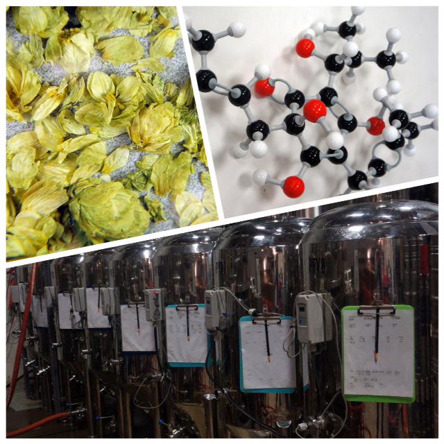 ThinkTankWorc's tweet photo. Thank you CSF! We loved having beer brew science "hops" be a part of it! @CSFtweets @ThinkTankWorc @AeronautBrewing http://t.co/xILbpCOvyn