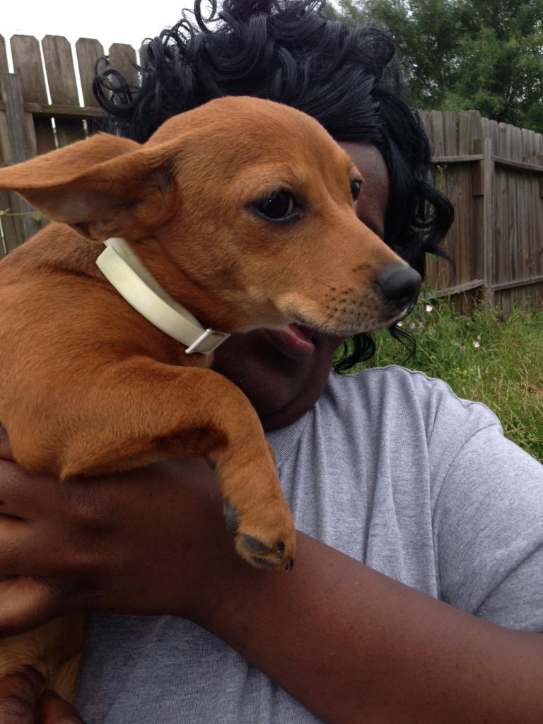 Embedded image permalink