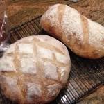 heghine_h's tweet photo. Seven breads for seven days
http://t.co/rgm02OaAbl
#bread #recipe #recipeoftheday #wholewheat #flaxseedbread http://t.co/vL2fS4W1eG
