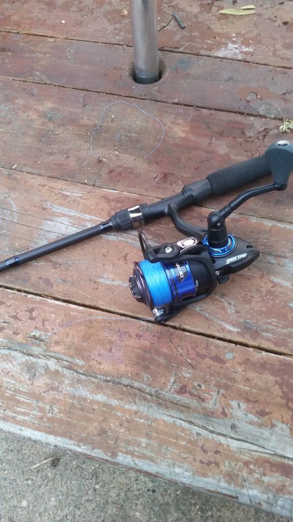 KeystoneSlings's tweet image. Caught some good fish this weekend on a lewes American hero combo