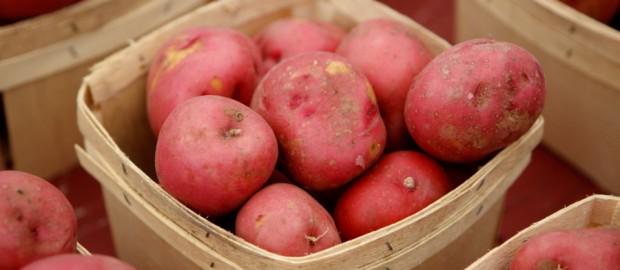La #patata rossa di #Colfiorito diventa #Igp -> bit.ly/1dkMgL8