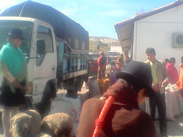 SACATOROY's tweet image. En feria de Guangaje