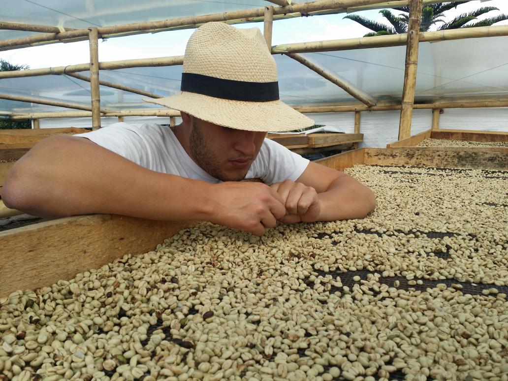 Antis Coffee tweet media