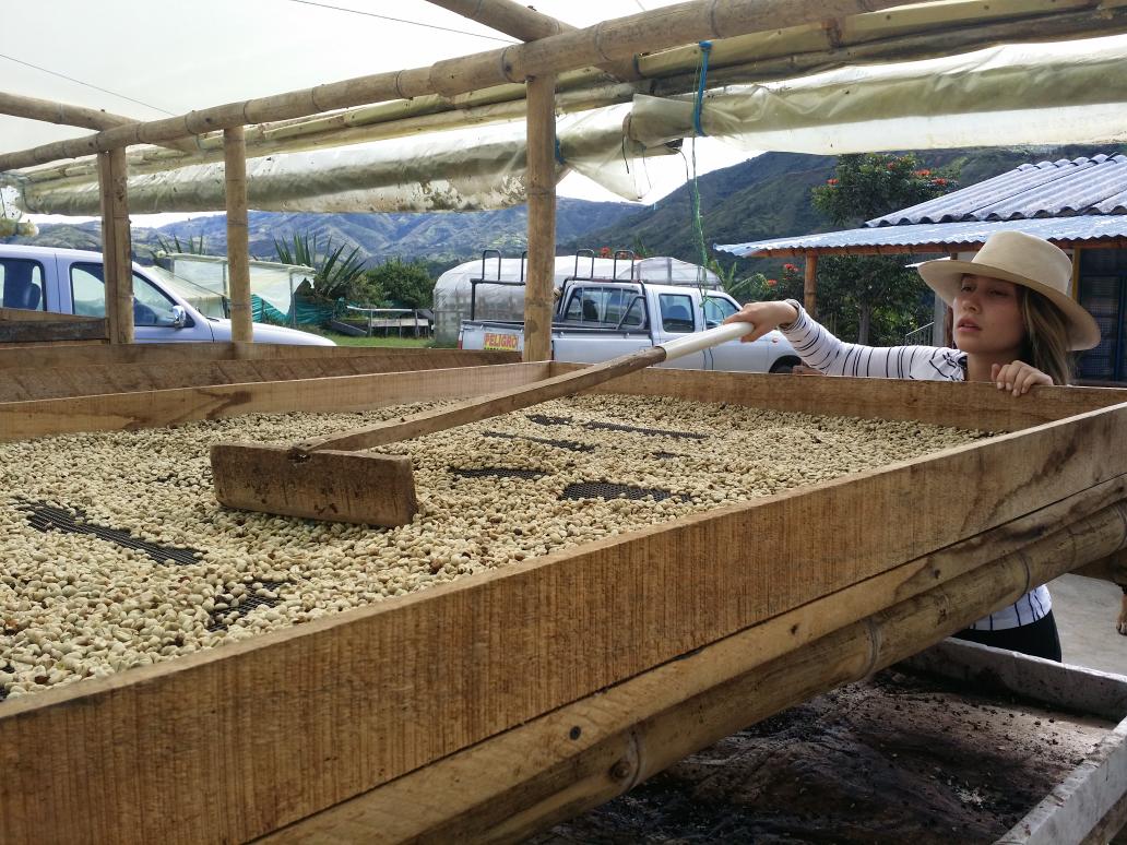 Antis Coffee tweet media