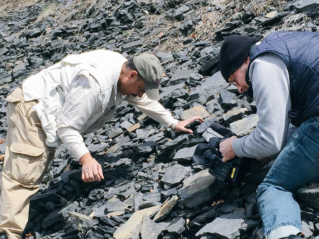 sanderson419's tweet photo. @PaleoDW finding fossils in Pennsylvania and shot by @CalebMedders #nbclearn #fossilhunt http://t.co/in8hwoucCj