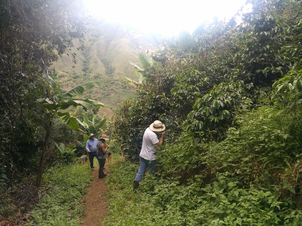 Antis Coffee tweet media