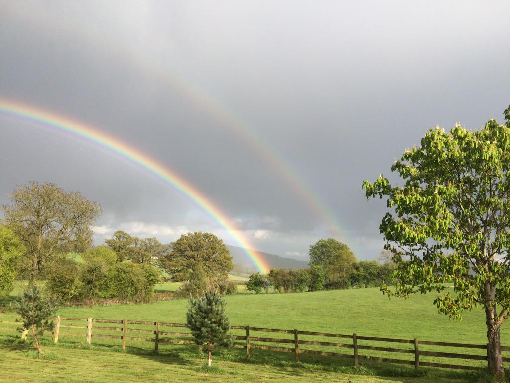 Gil Norton tweet media