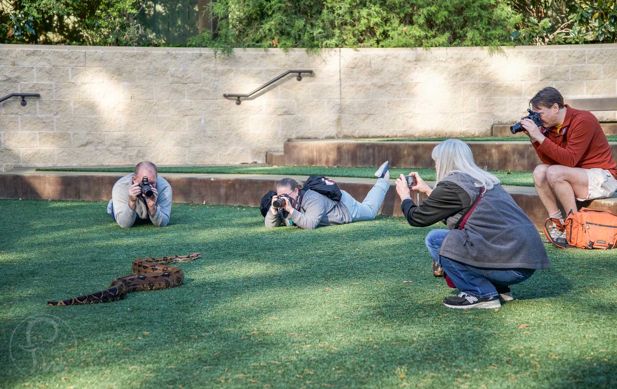 Fort Worth Zoo - Fort Worth Zoo Reopens To The Public May 29 Dallas Tx