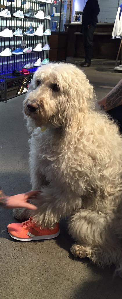 goodboyspencer's tweet photo. Hands off...they're mine http://t.co/WG2osRoe7P