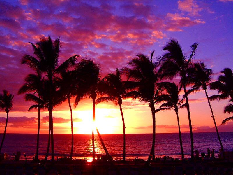  Happy Birthday Schae!! Enjoy your day!!   especialy for you, a beautiful Hawaii picture! 