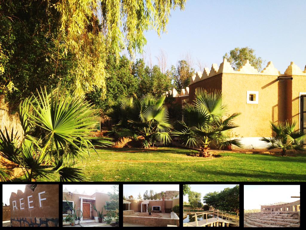 ReefCompound's tweet image. 