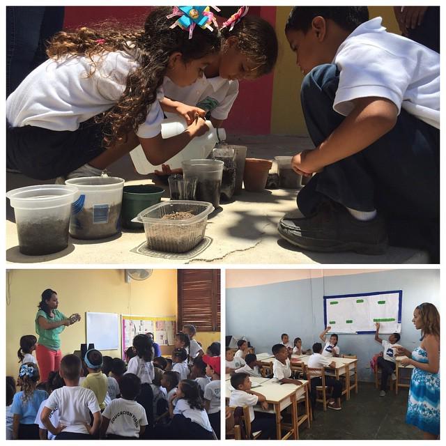 elsistema's tweet photo. Los niños del Centro de Educación Inicial y la Escuela Nacional Bolivariana de Los Roques … http://t.co/C3bCZ10R4J http://t.co/qPPuHMmpRr
