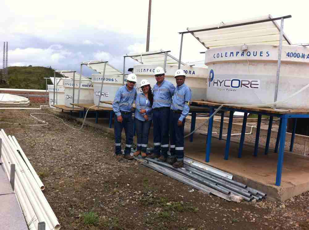 phycospectrum's tweet photo. Phycospectrum  Develops and installs algae based effluent treatment technology. PHYCORE Colombia and PHYCOLINC India http://t.co/mO7H2ezmVA