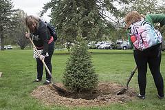 MuEnvs's tweet image. Earth Day 2015, Tree of Hope Campaign #ManchesterUniversity