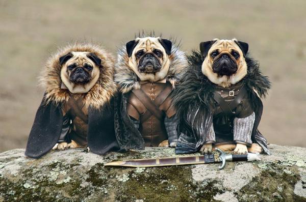 HBudapets's tweet photo. Hoy es lunes de Game of Thrones!. #VivePoniente http://t.co/AaVH3aVHhR