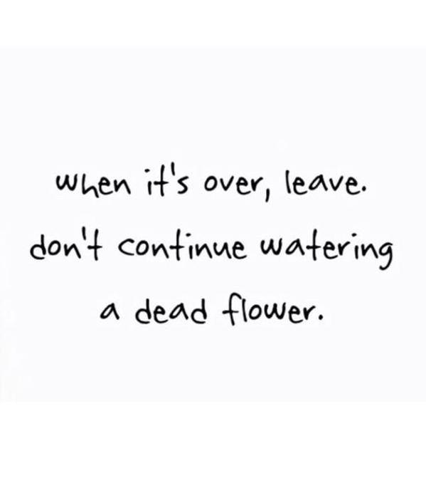 Mcdefinition1's tweet photo. Best, truest and most relevant thing I've read in a while 👌 http://t.co/fPIDffTbyd