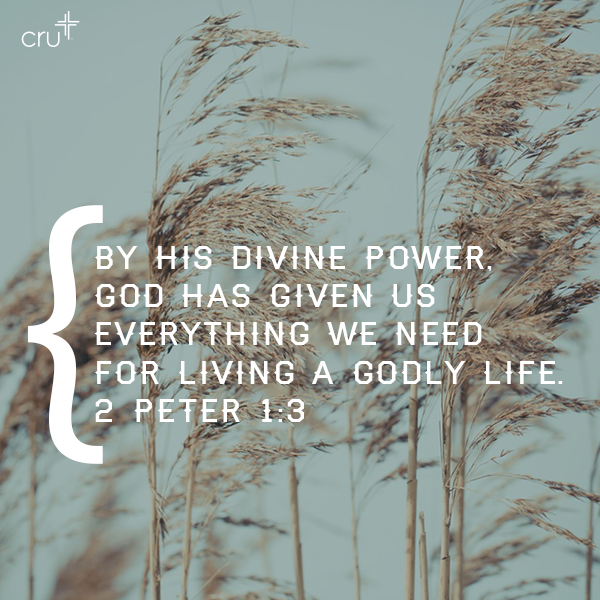 crutweets's tweet photo. By His divine power, God has given us everything we need for living a godly life. (2 Peter 1:3) http://t.co/1evfNwT3th