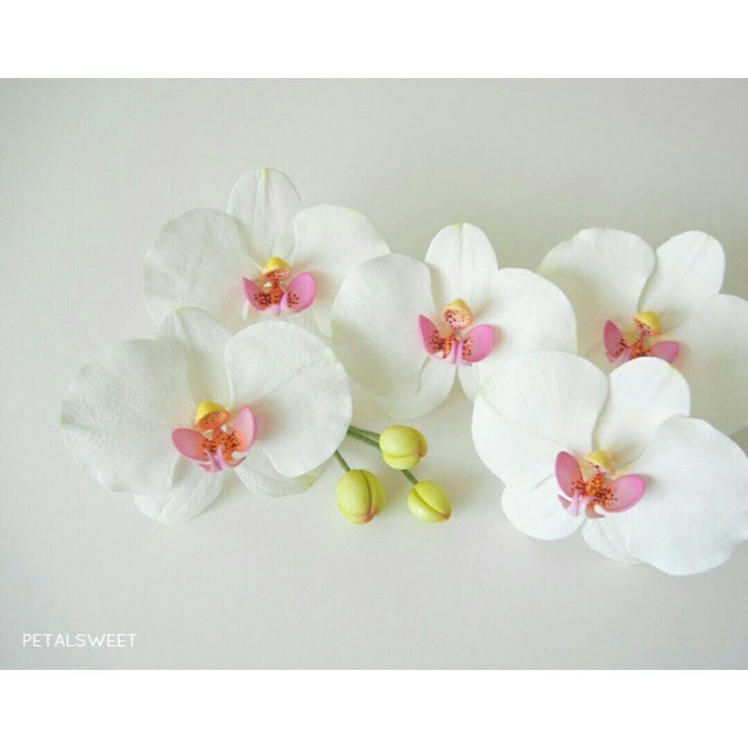 PetalsweetCakes's tweet photo. Orchids from the weekend #sugarflowers http://t.co/2ePgmmDLYQ