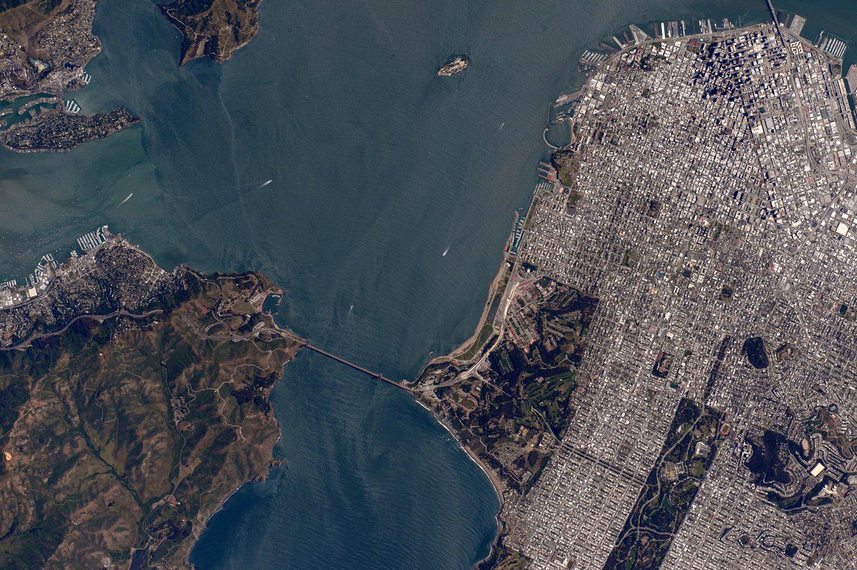StationCDRKelly tweet picture