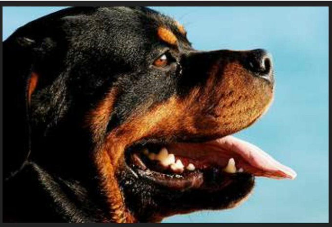 "@AmyRoseKathryn: Registry of animal abusers one step away http://t.co/1MDFPuvtJ9 http://t.co/dRpED7<a class="tags" target="_blank" title="On Twitter" href="/?out=eyJ0eXAiOiJKV1QiLCJhbGciOiJIUzUxMiJ9.eyJpYXQiOjE3MjE1OTIxNzQsImlzcyI6InR3cG9ybnN0YXJzLmNvbSIsIm5iZiI6MTcyMTU5MjE3NCwiZXhwIjoxNzUzMTI4MTc0LCJyZWRpcmVjdF91cmwiOiJodHRwczovL3R3aXR0ZXIuY29tL0FteVJvc2VLYXRocnluIn0.oDn5Uubd61zezEPQCyc6ZHBTlC_mejpWM8CaOQD0iveuLlJ6SKEhXNNSQ-n0E8gZSt6kxFCszD-QOlUnOsXs1Q">@AmyRoseKathryn</a>