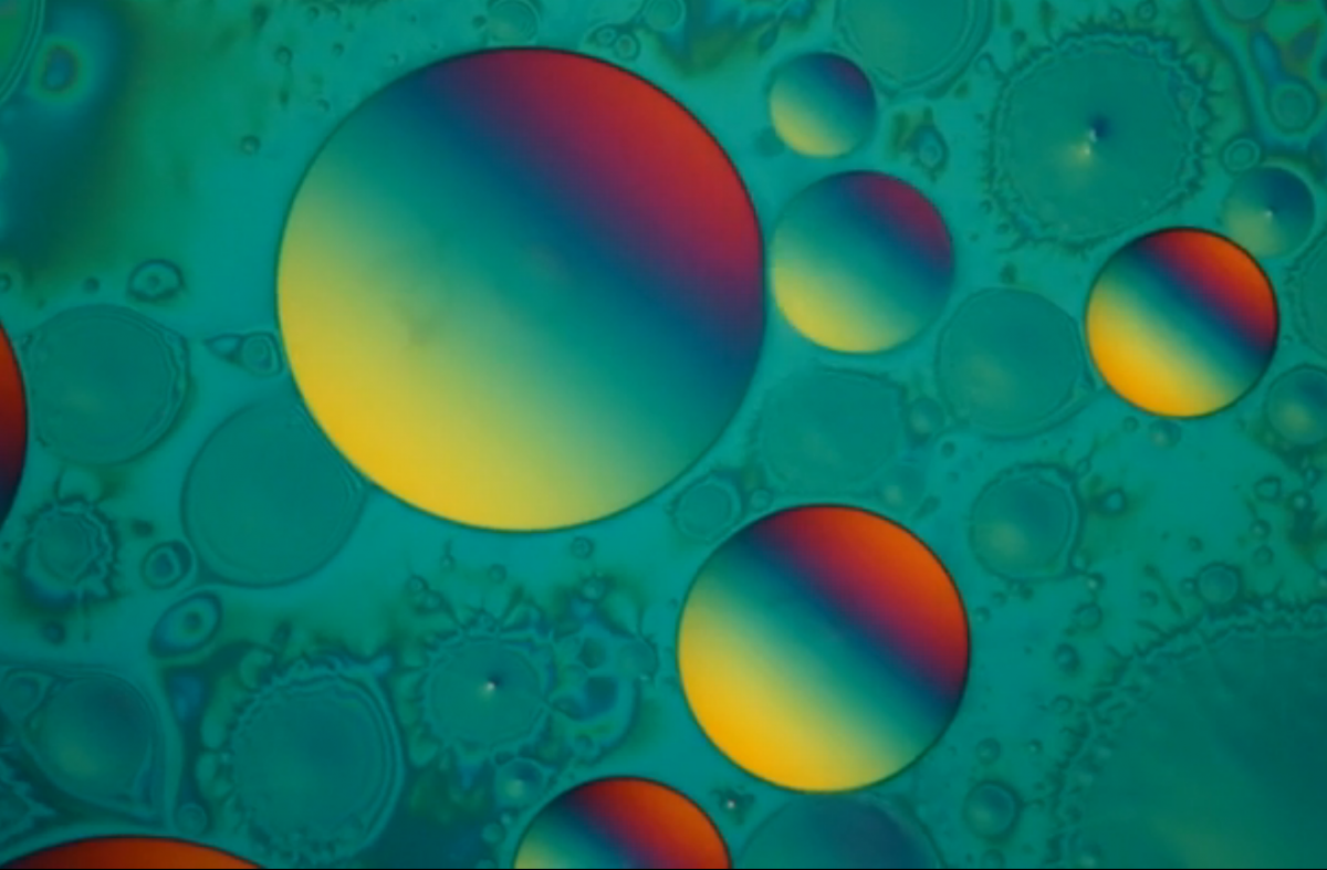 PopSci's tweet photo. The 17 best micro-videos of the year show us the world invisible to the naked eye http://t.co/kXCyDTMOMt http://t.co/rCwC63Fm3S