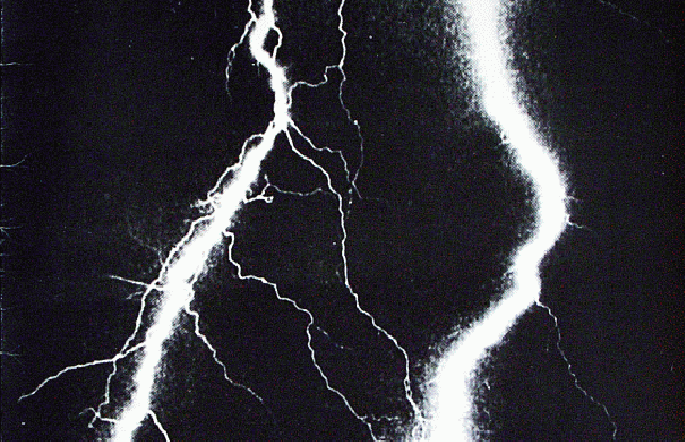 180.Fact tweet media