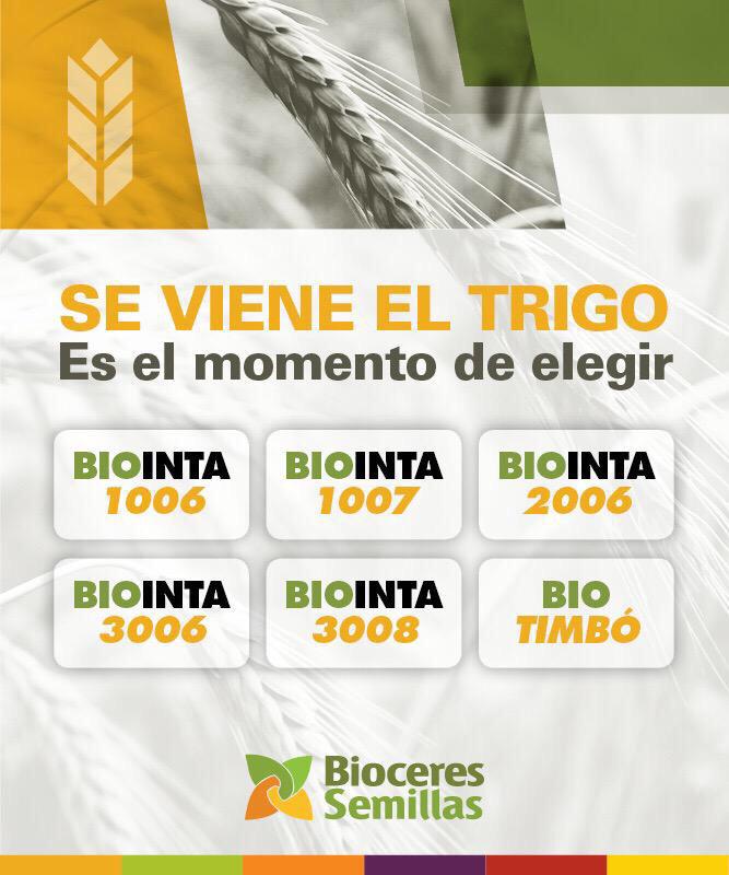 Plants and Flowers, plants species: June 2012