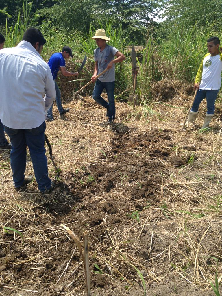 sofvelce's tweet photo. @espammfl prácticas agrícolas IV, preparando el suelo para sembrar http://t.co/k070ZRXxRa
