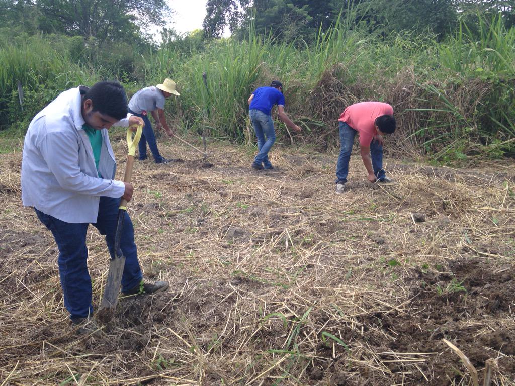 sofvelce's tweet photo. @espammfl prácticas agrícolas IV, preparando el suelo para sembrar http://t.co/k070ZRXxRa
