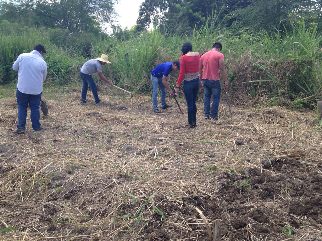 sofvelce's tweet photo. @espammfl prácticas agrícolas IV, preparando el suelo para sembrar http://t.co/k070ZRXxRa