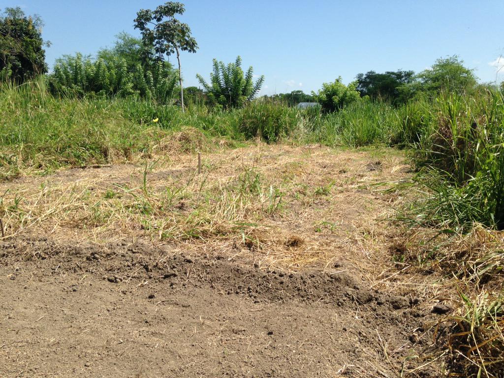 sofvelce's tweet photo. @espammfl prácticas agrícolas IV, preparando el suelo para sembrar http://t.co/k070ZRXxRa