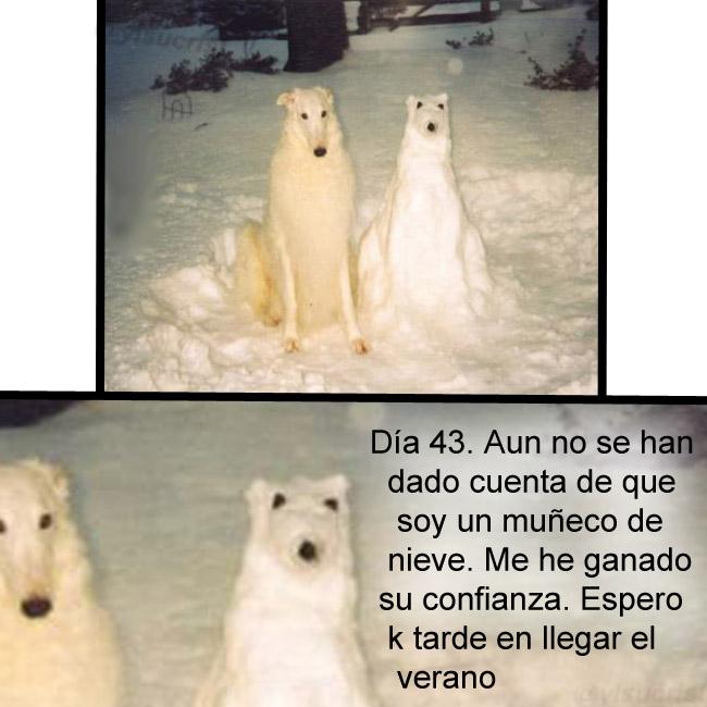 yisucrist's tweet photo. muñeco d nieve ninja http://t.co/rdMUdWBLe7