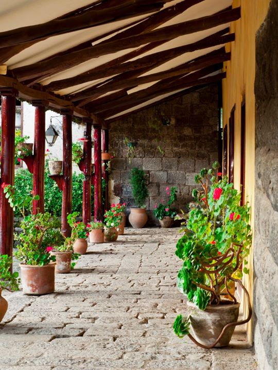 SanAgustinCallo's tweet photo. Hospédate en @SanAgustinCallo y regálate unos días de paz cerca de la naturaleza.
Escríbenos a: info@incahacienda.com http://t.co/iQIST6oPIX