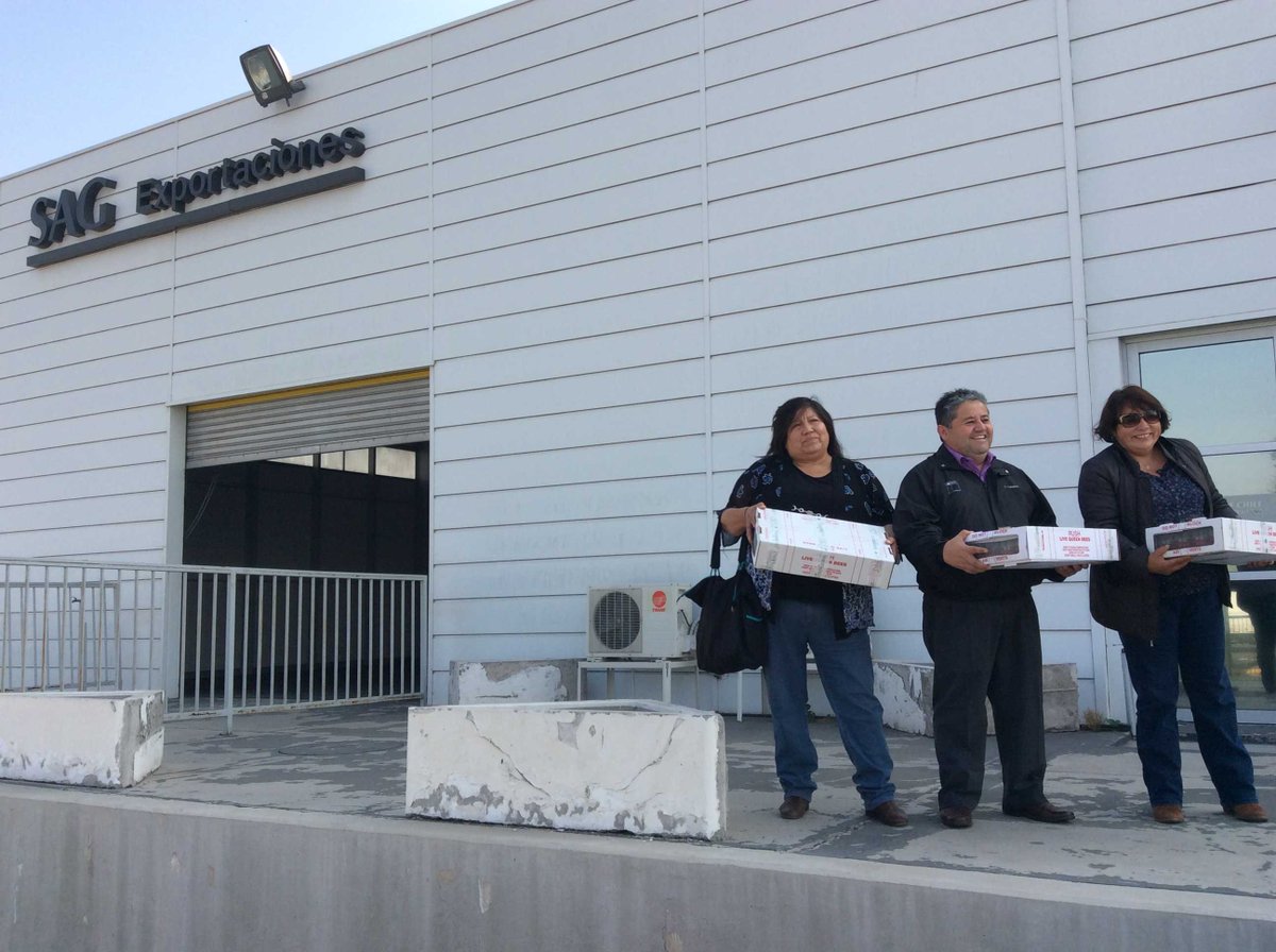 comar96's tweet image. Director Regional #Prochile #Ohiggins y la Corporación Apicola de Chile, en su 1ra exportación de abejas reinas