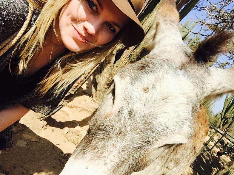 britni_petersen's tweet photo. Donkey selfie! #notgoats - amazing day with @jennbfranklin @themoms @itstaylorpr @trippingwterri #playgroundaruba http://t.co/4gRu2aIdjF