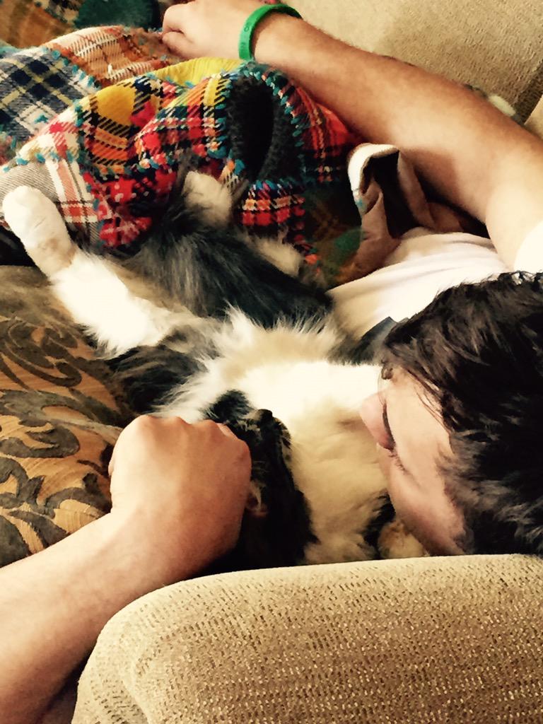 LyssaWolf's tweet photo. My baby's! Awe melts my heart 😍❤️ @SeanEssemoEfron http://t.co/Qj7l0uQksv