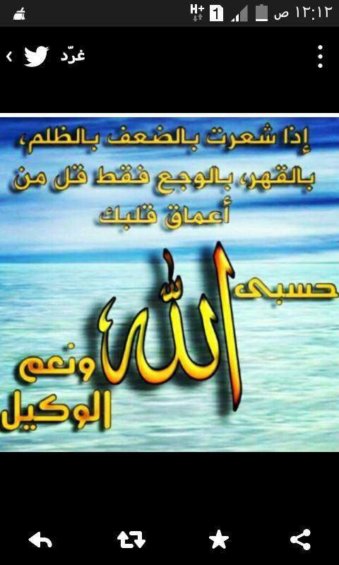 sofj3333 tweet picture
