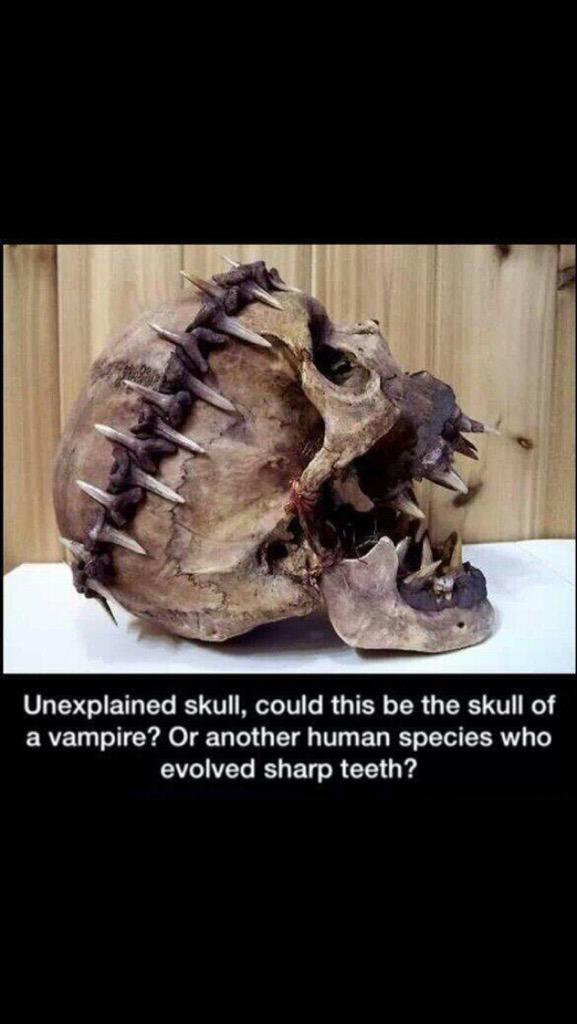 SebatianCat's tweet image. I found this online and I'm supper freaked