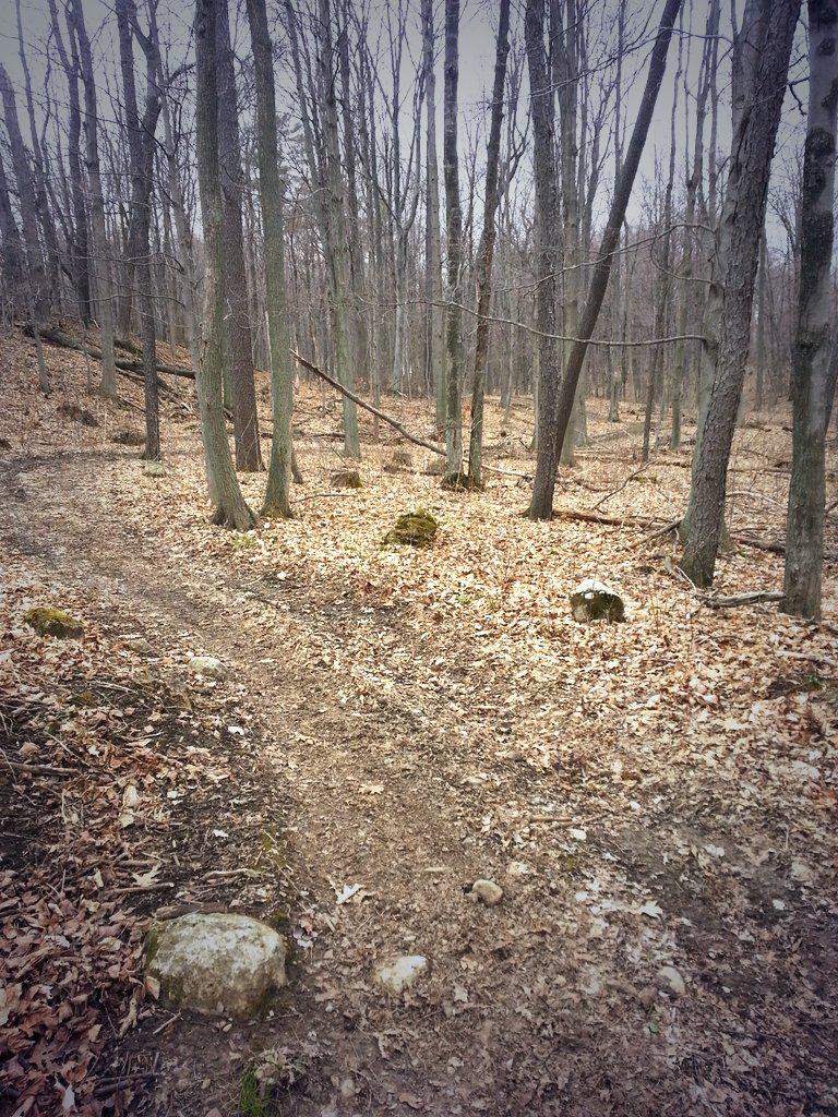 Liam_McGarry2's tweet image. Day 8 was a tough one on the trails, but finally got my spikes back on! Staying motivated! #22left #SSS30DayGrind