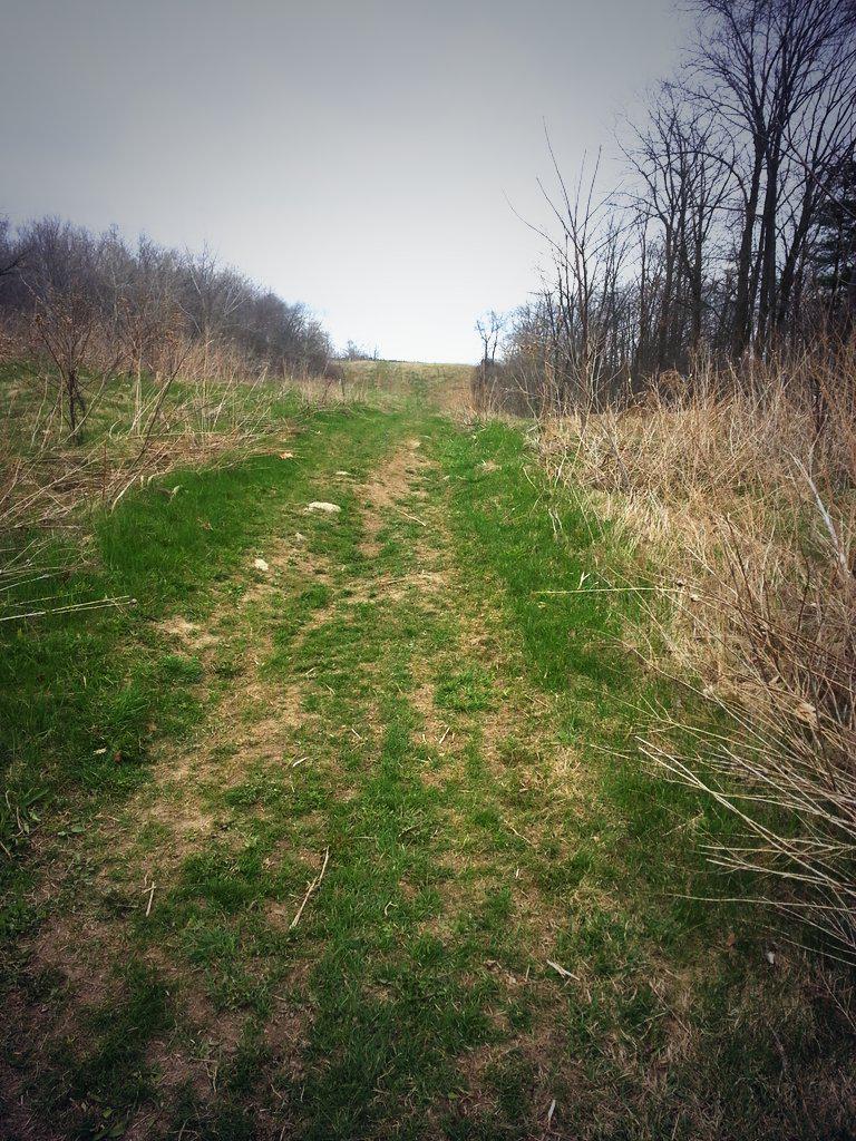 Liam_McGarry2's tweet image. Day 8 was a tough one on the trails, but finally got my spikes back on! Staying motivated! #22left #SSS30DayGrind