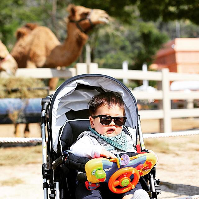 "Moo!"  

"No, thats a camel..."  #mustachifier #babyopticals