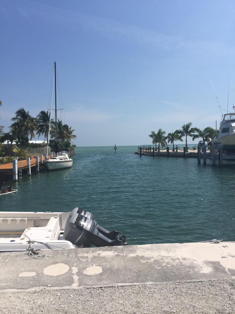 CastilloCorals's tweet photo. The view from Mote's TRL, our home for the next 5 days! #fieldwork #CastilloLab #FLA2015 http://t.co/wrJgDvc2dL