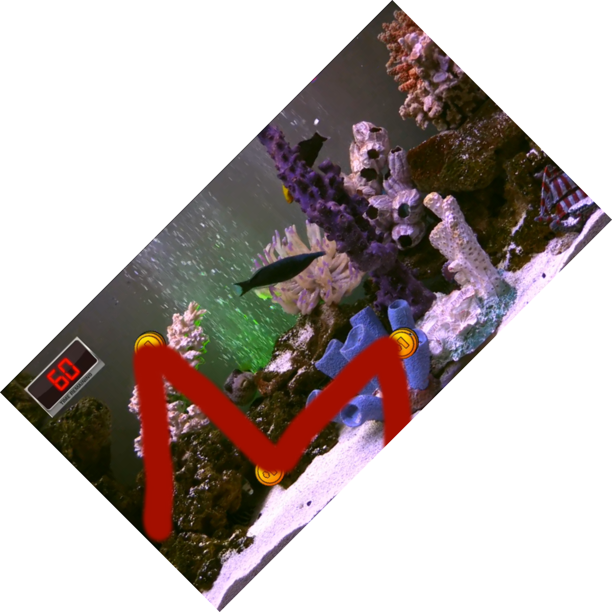 JKnuckles's tweet image. @FishCenterLive You guys say "L for Lunes" but this is clearly a tilted M for Monday... #fishcenter