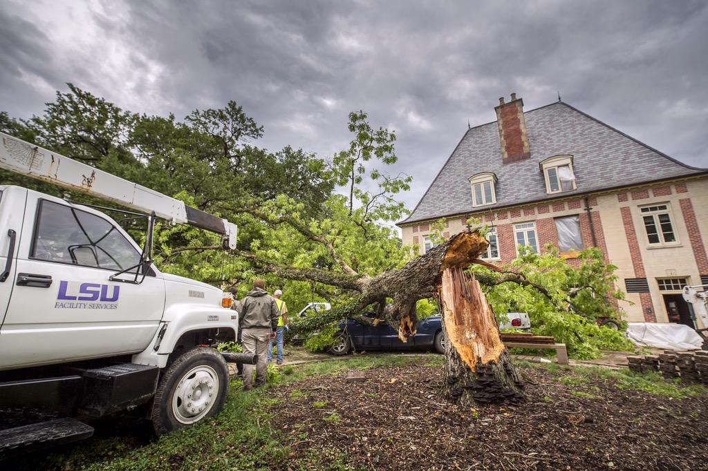 LSU on Twitter: "Scenes from around campus today. http://t.co/hCj3KXbgb2"