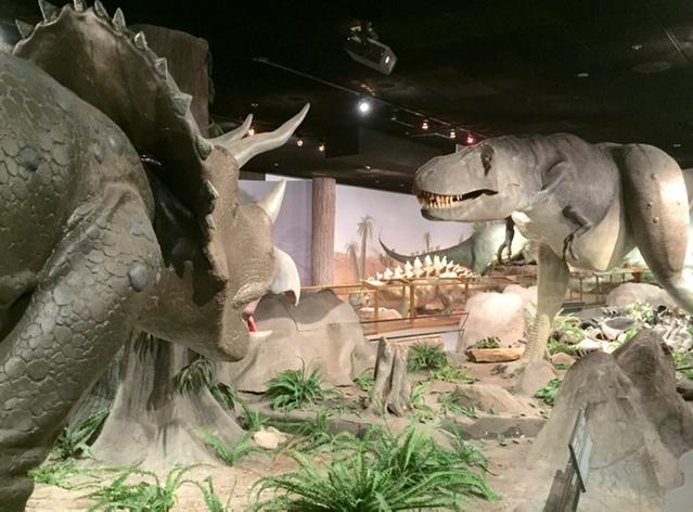 ncall's tweet image. Getting my dino on at Las Vegas Natural History Museum. See them feed sharks on Tues., Thurs., and Sat! #lvscifest