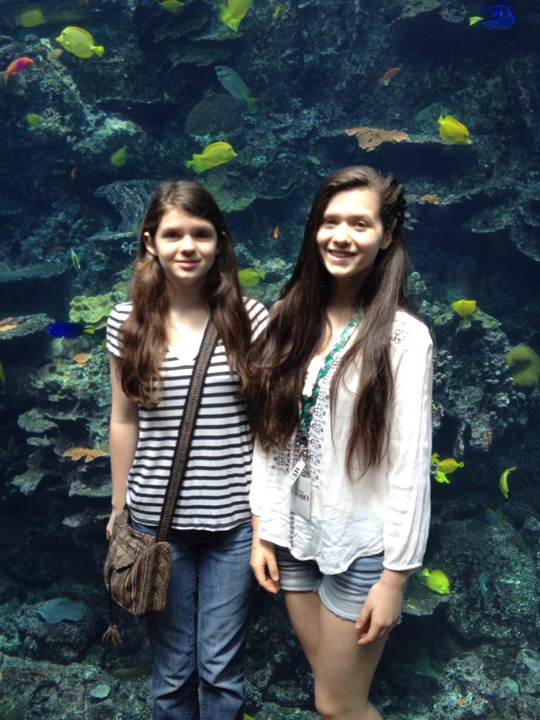 theironcarat's tweet photo. Our first stop for #ATLMuseumWeek was the Ga Aquarium! Haven't been in years! Guess where we will go tomorrow!! http://t.co/DFKlaSXt1k
