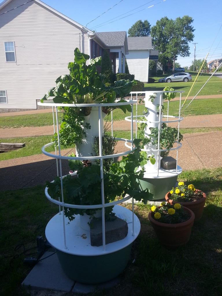 TowerGarden's tweet photo. RT @BSechlerBoyd: What stage is your garden in?  I'm already harvesting things!  #hittheeasybutton #towergarden http://t.co/HXF6YxF2d9