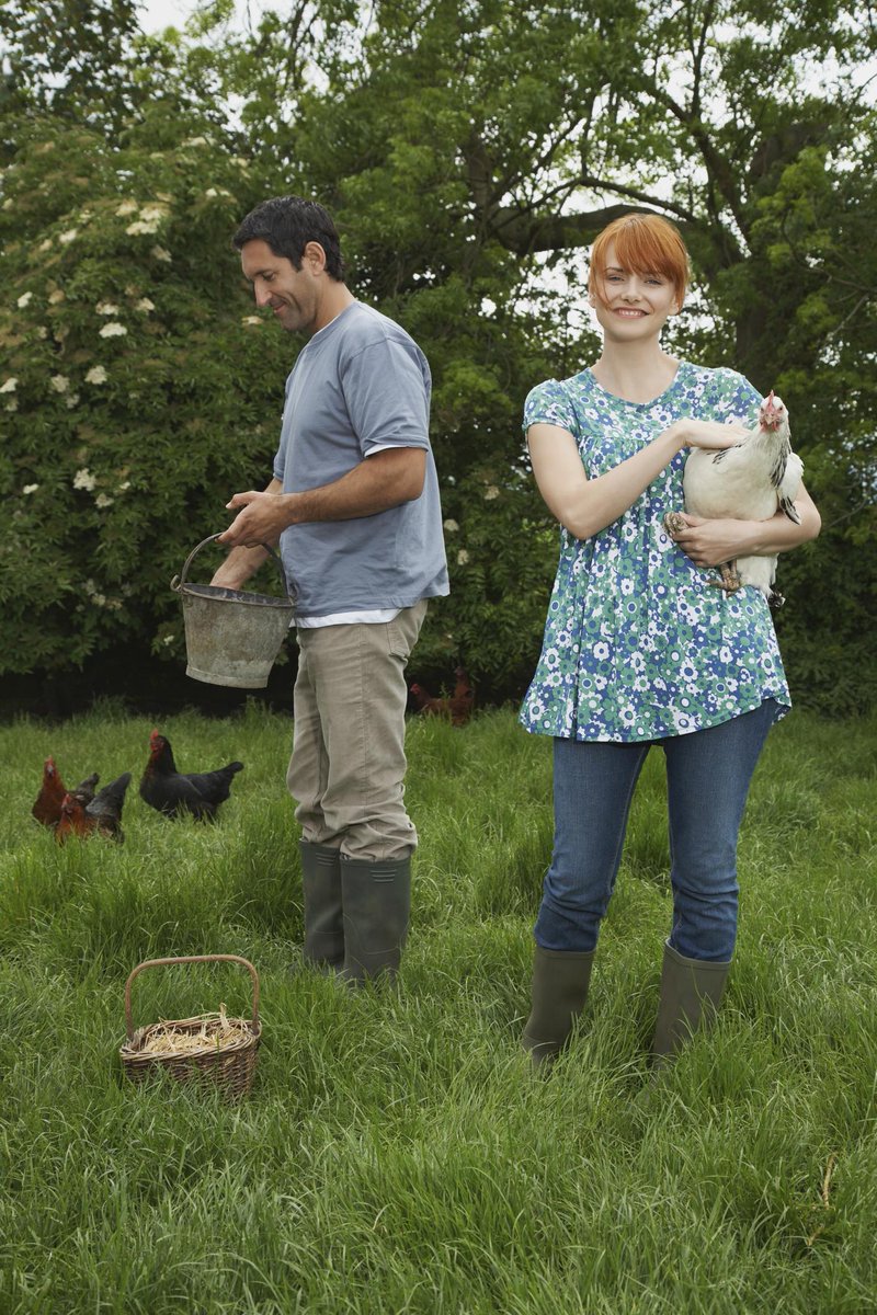 ConnectCrosbie's tweet photo. Hilites from earlier "chicken chat" w/ @PaulyHughes at 5:45 http://t.co/pfTHVoLKpP http://t.co/51qHtNprSr